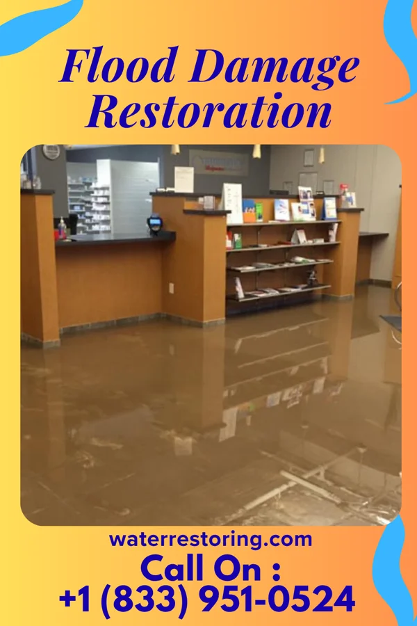 Flood Damage Restoration in Shopiere, WI