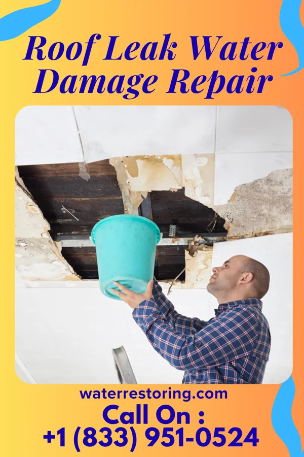 Roof Leak Water Damage Repair in Shopiere, WI