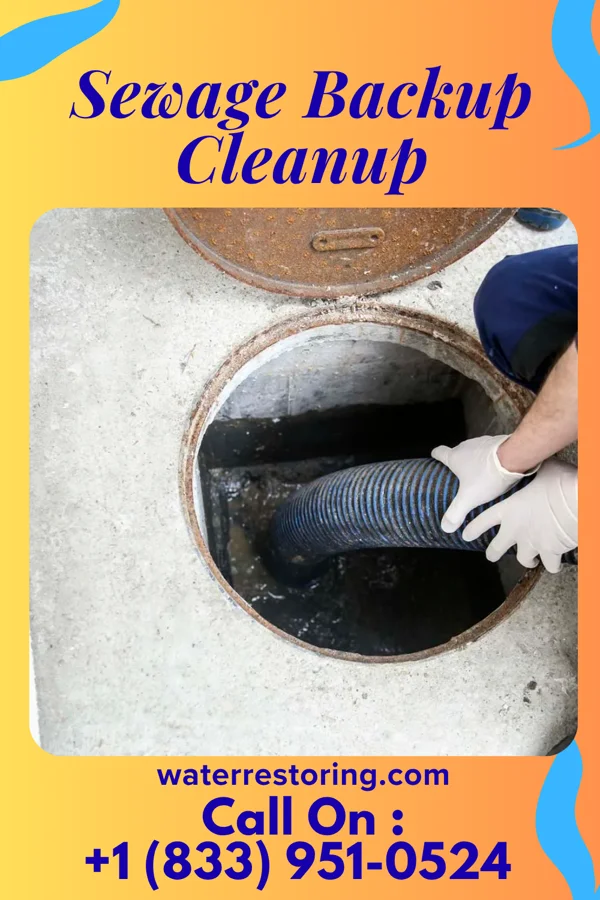 Sewage Backup Cleanup in Shopiere, WI