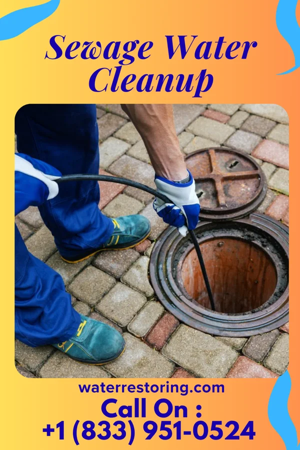 Sewage Water Cleanup in Shopiere, WI