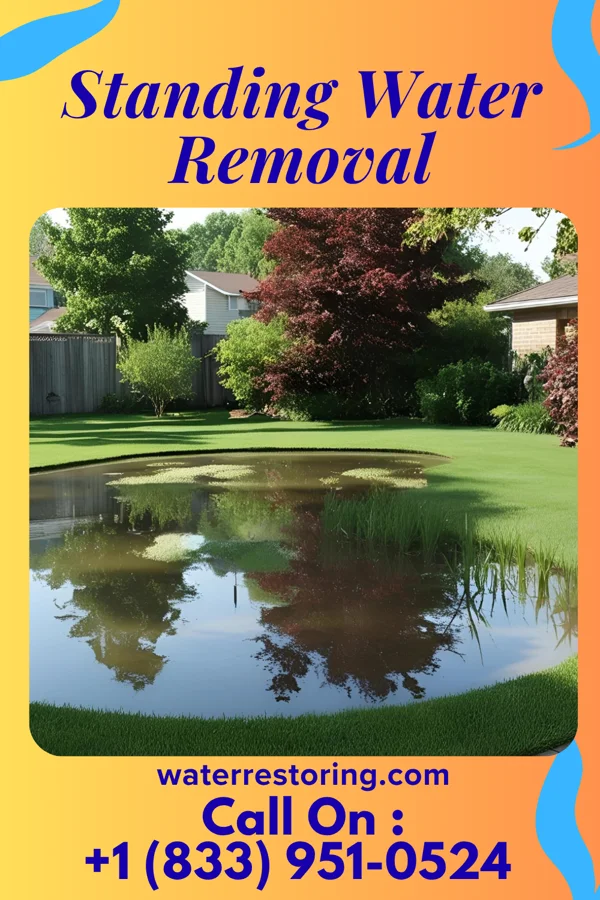 Standing Water Removal in Shopiere, WI